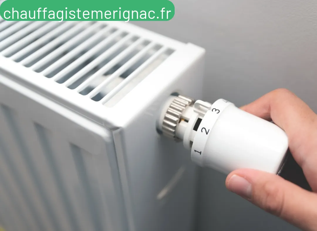 Remplacement de Thermostat Mérignac